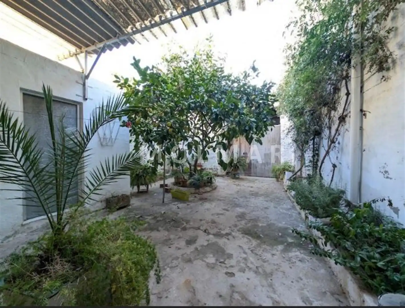Casa amb jardí en venda a Avinguda Reis Catòlics, imagen 34