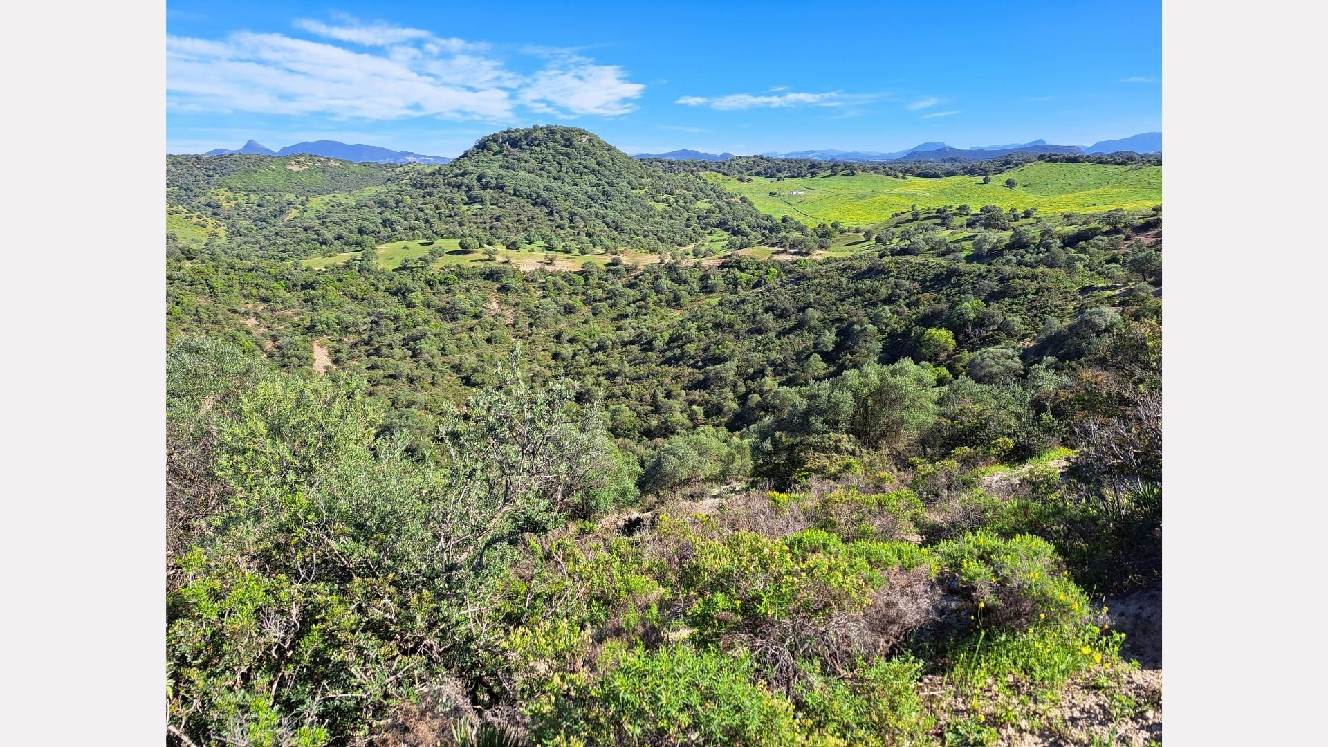 Grundstücke zum verkauf in La Puebla de Cazalla