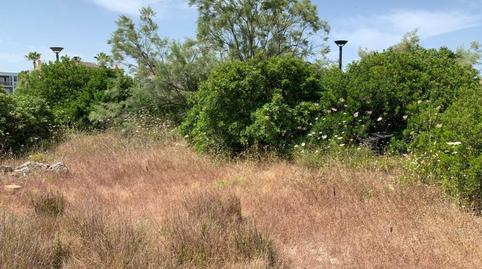 Photo 3 of Industrial land for sale in Port d'Alcúdia - Platja d'Alcúdia, Illes Balears