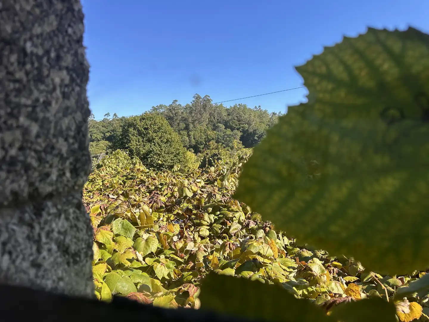 Country house zum Verkauf in Negreira