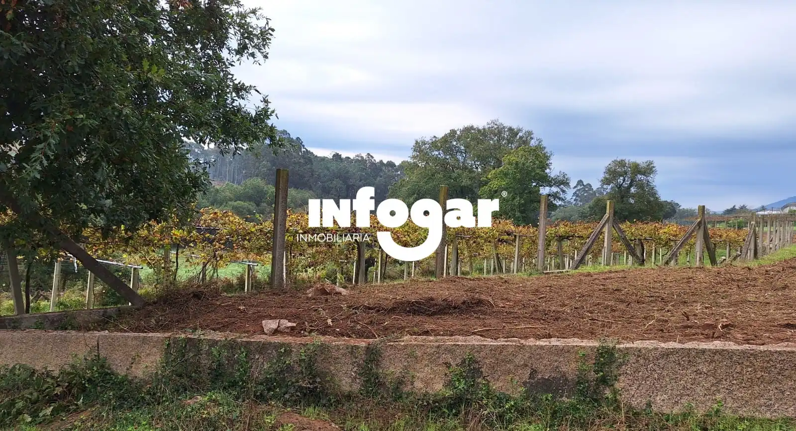 Residential land for sale in O Rosal, imagen 7