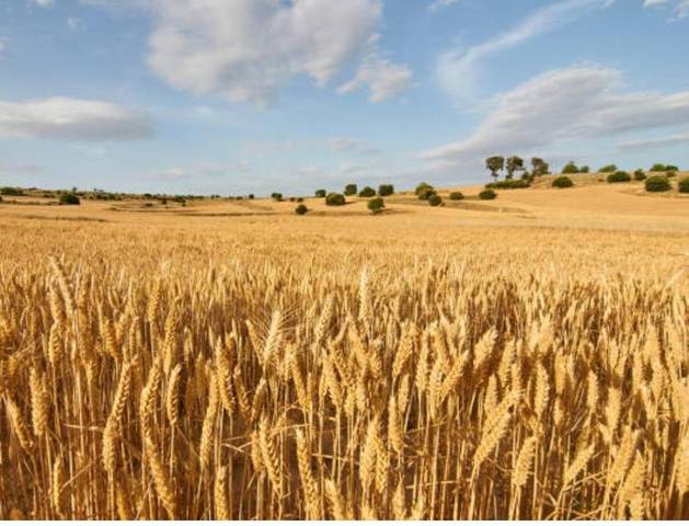 Terreno residencial en Venta en Guimerà