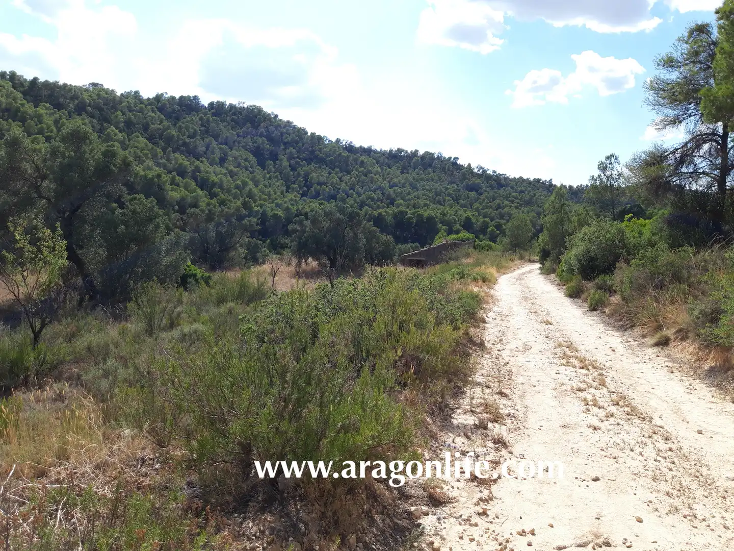 Finca rústica en venta en Fabara