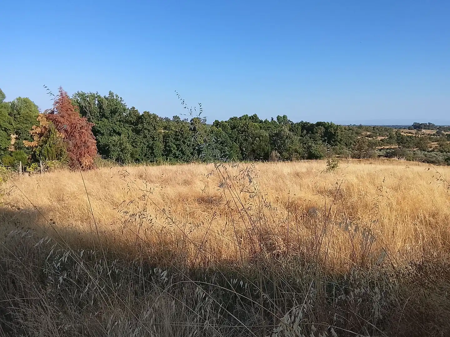 Terreni e lotti in vendita a Villanueva de la Vera, imagen 10