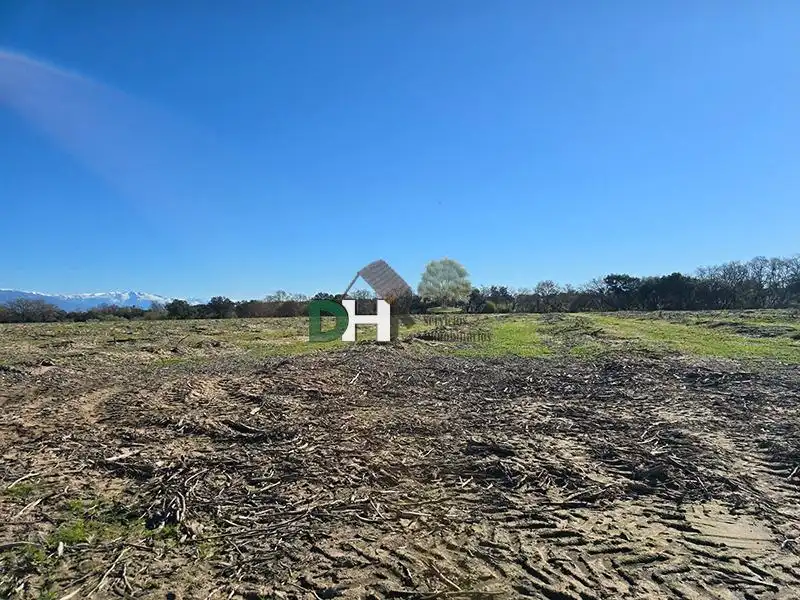 Terreni e lotti in vendita a Aguas Vivas - La Zambomba, imagen 6