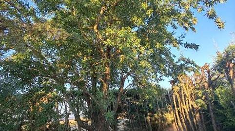 Photo 2 of Country house for sale in Doñinos de Salamanca, Salamanca