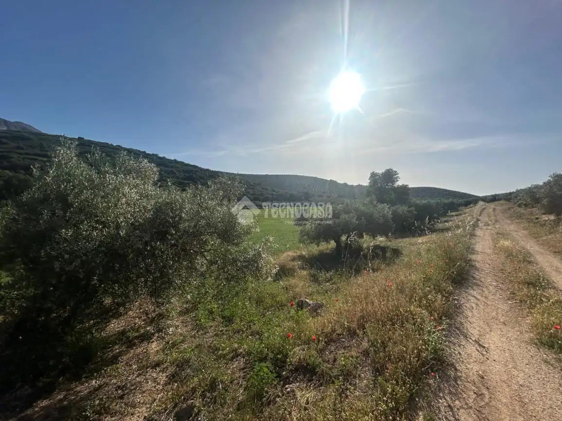 Finca rústica en venta en Antequera
