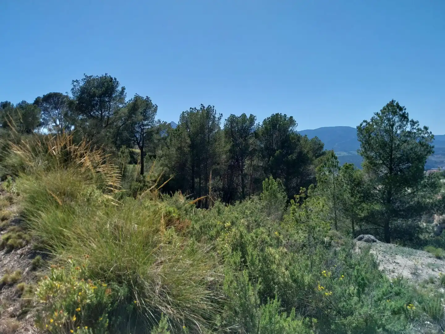 Terreno rustico in vendita a Lugar Castillo, imagen 33