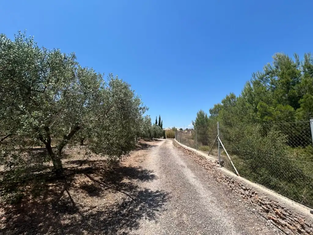 Finca rústica en venta en Sot de Ferrer