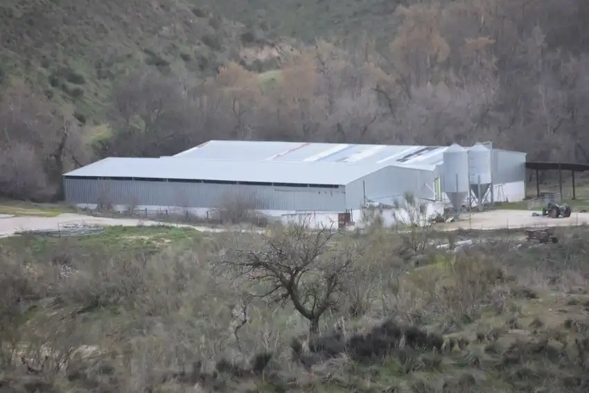 Fabrikhallen zur Miete in El Viso de San Juan