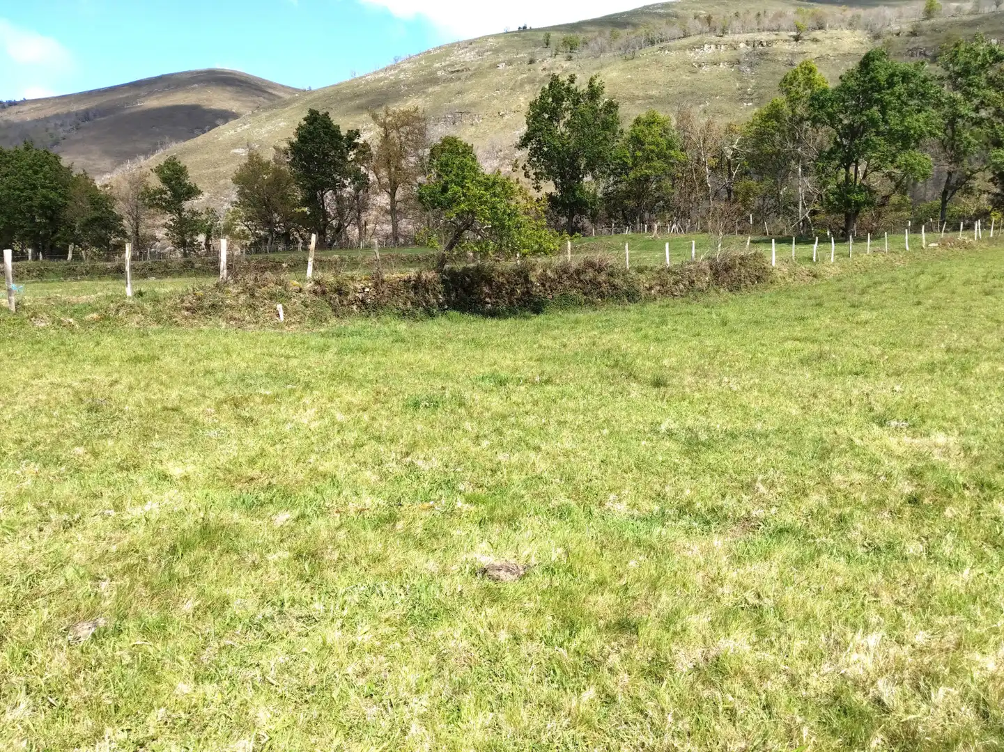 Grundstücke zum Verkauf in Rionansa