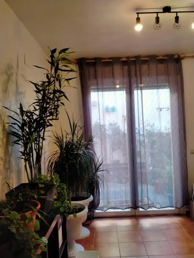 Casa o chalet en venta en Malagón