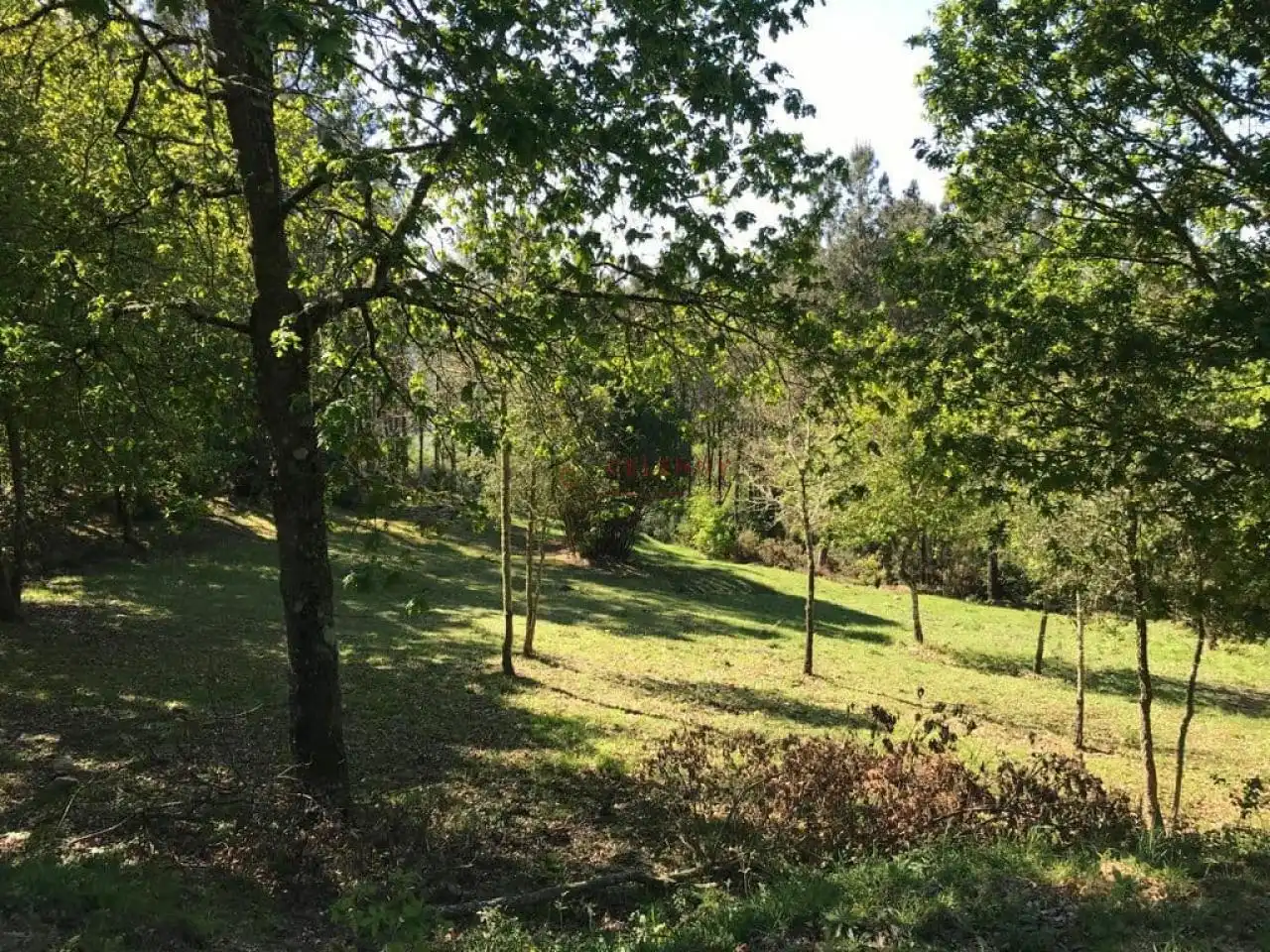 Terreni e lotti in vendita a SANTA MARIA DE MELIAS