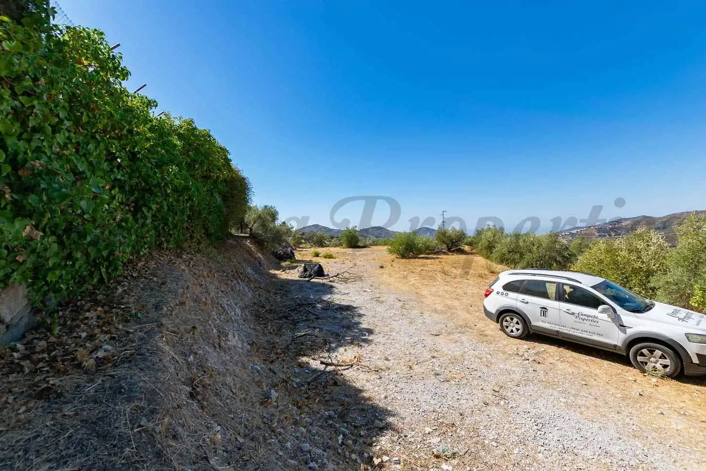 Terreny rústic en venda a Canillas de Albaida, imagen 2