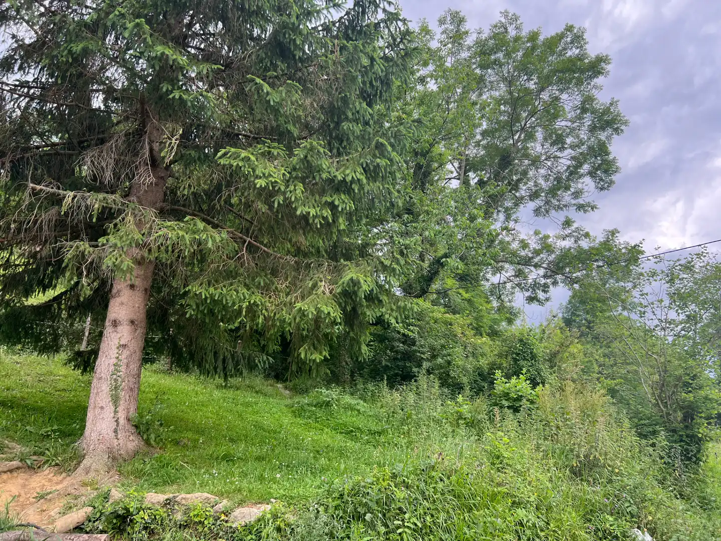 Finca rústica en venta en Liérganes