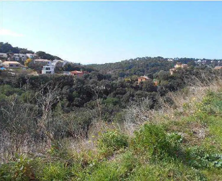 Terreny residencial en venda a Carrer de Sa Riera, imagen 5