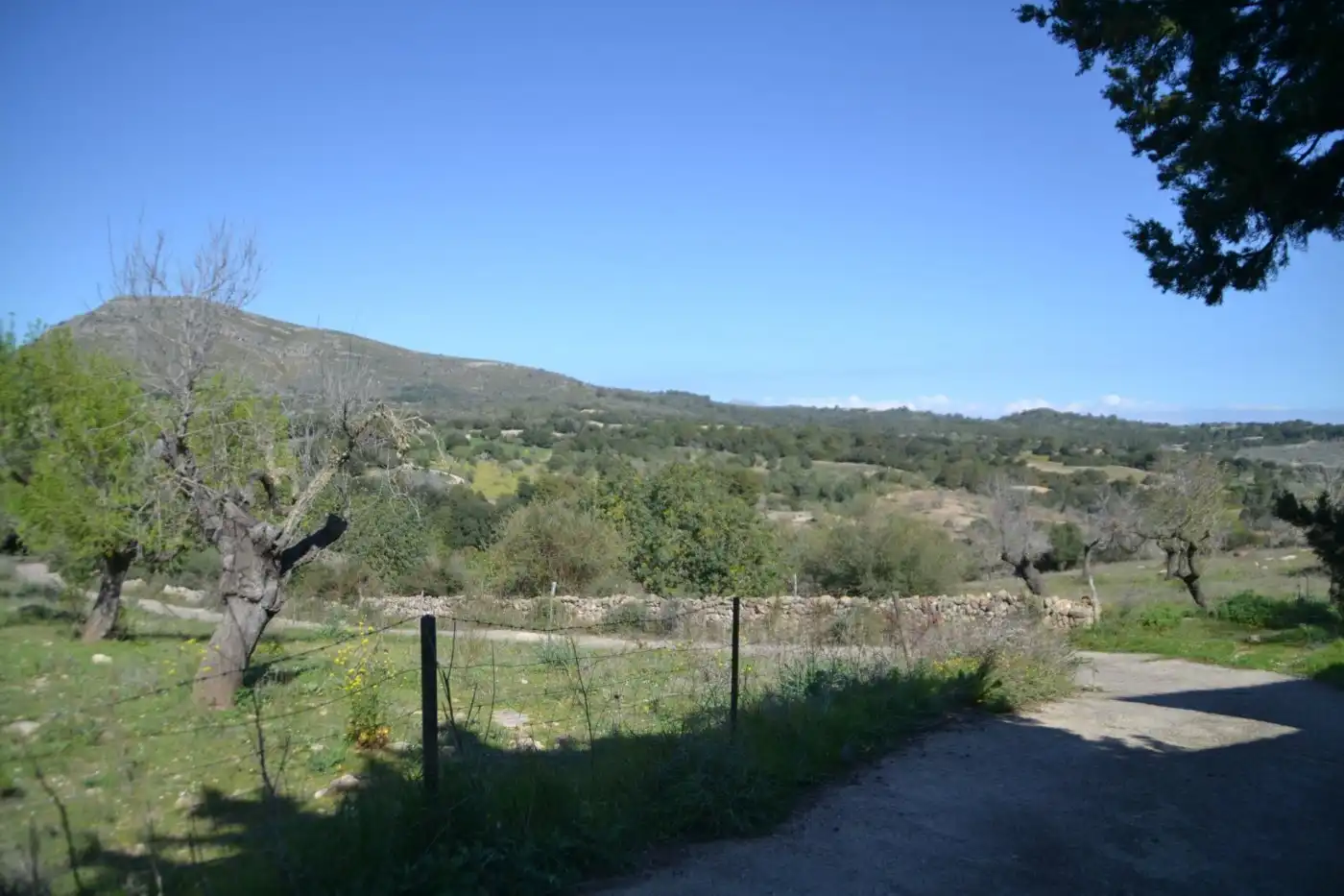 Casa rústica amb jardí en venda a Sant Llorenç des Cardassar, imagen 23