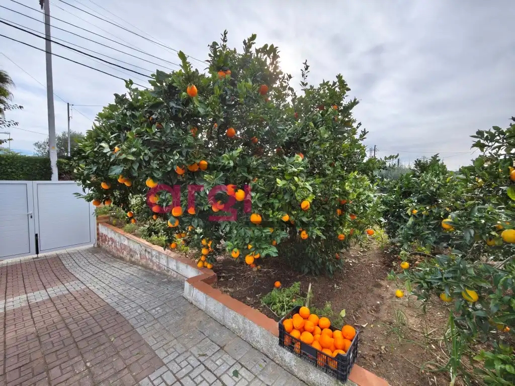Jardín de Casa o chalet en venta en Cubelles