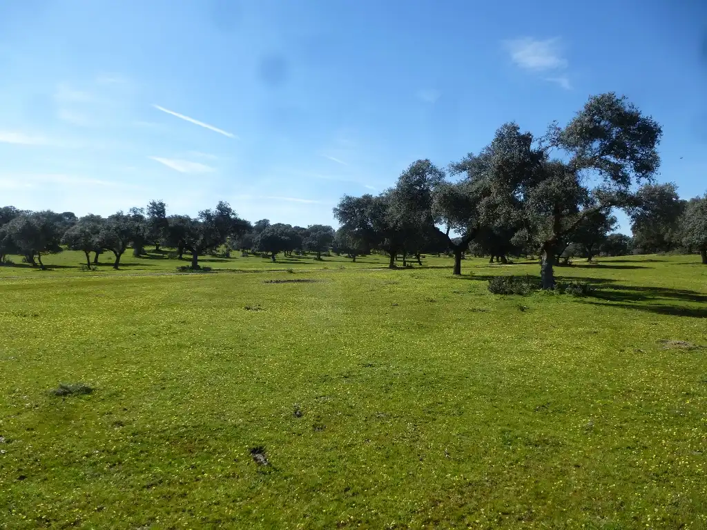 Rural land for sale in Maqueda, imagen 4