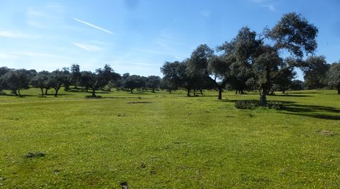 Foto 4 de Terreno en venta en Maqueda, Toledo