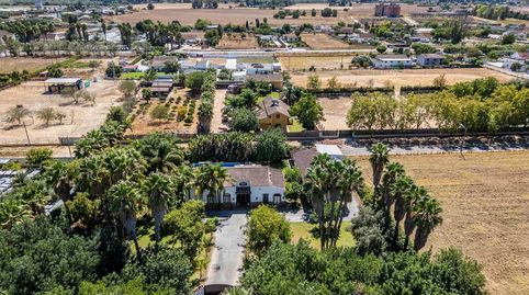 Photo 4 of Houses for sale in Caballero Bonald - San José Obrero - Guadalcacín, Jerez de la Frontera
