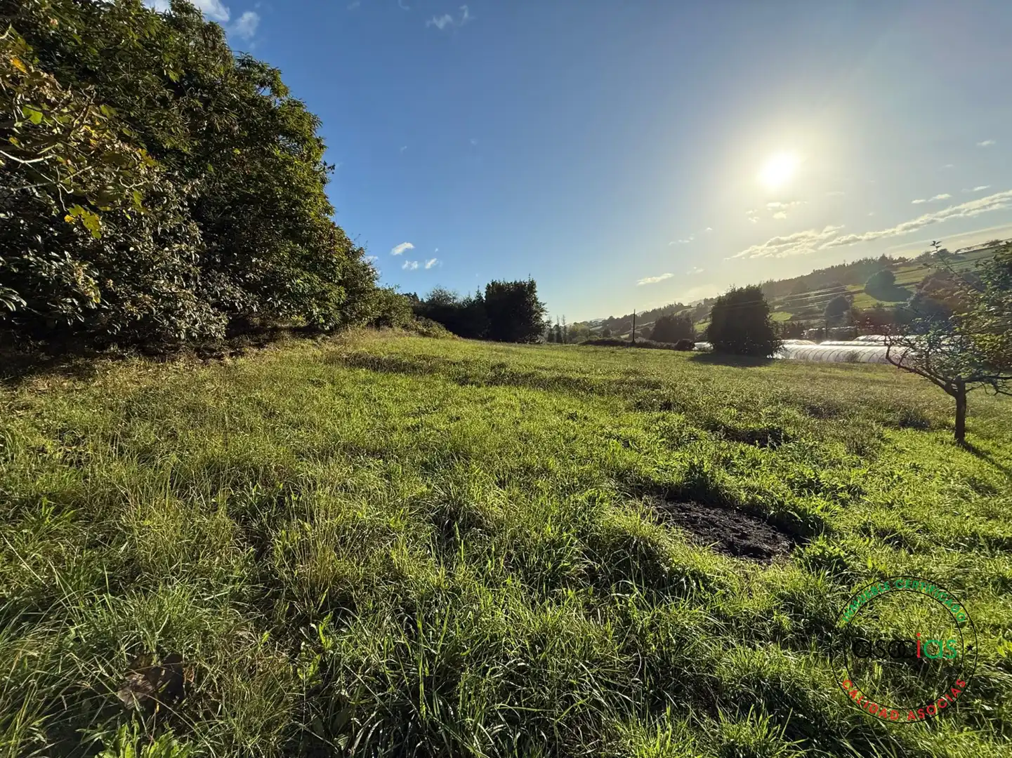 Terreno rustico in vendita a Carreño - Rebollada, imagen 5