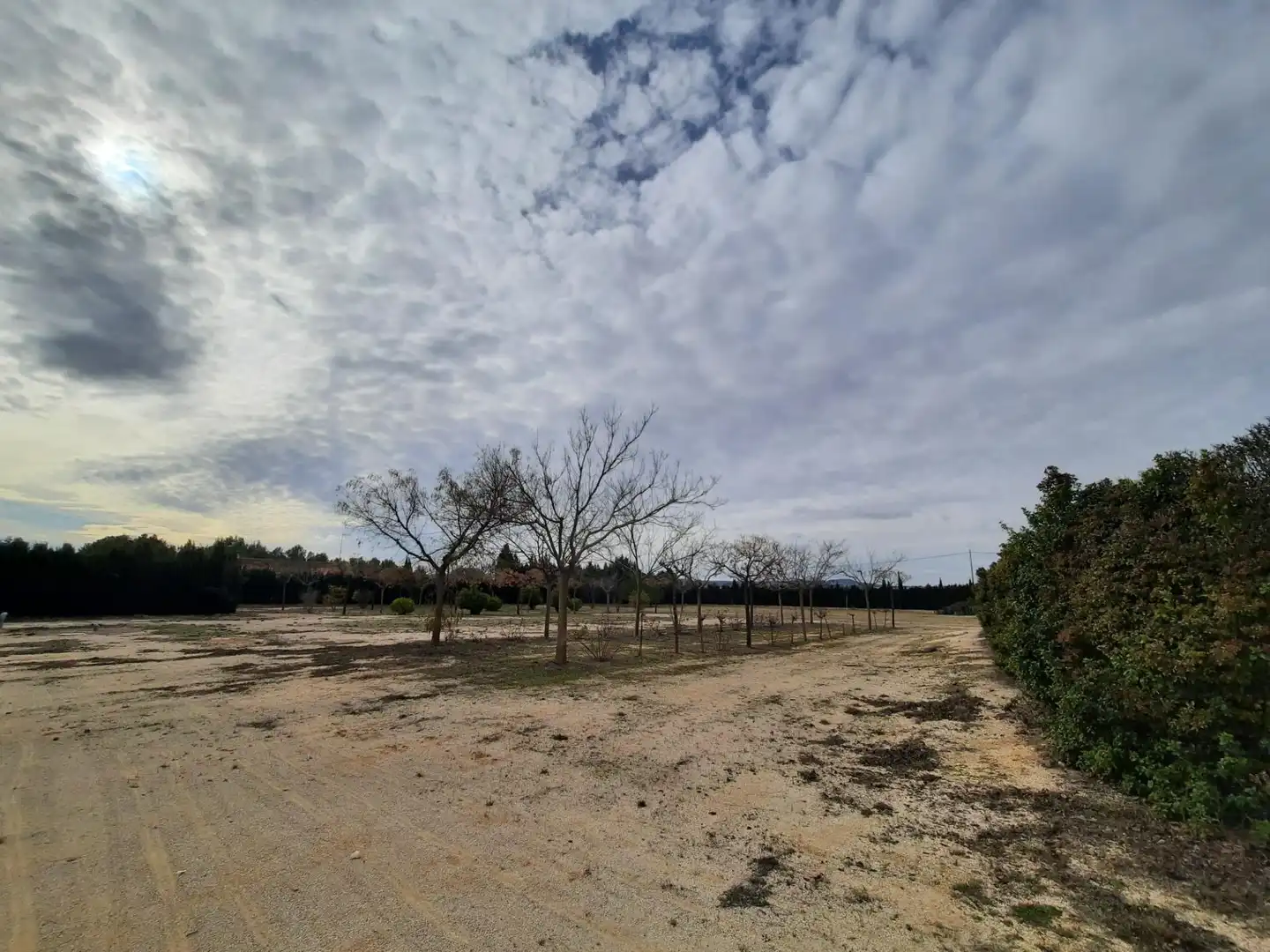 Xalet amb piscina en venda a Almansa, imagen 47