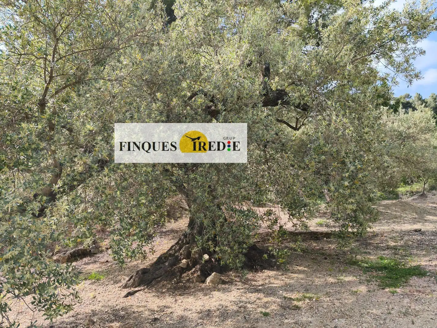 Casa en venta en Alfara de Carles, imagen 18