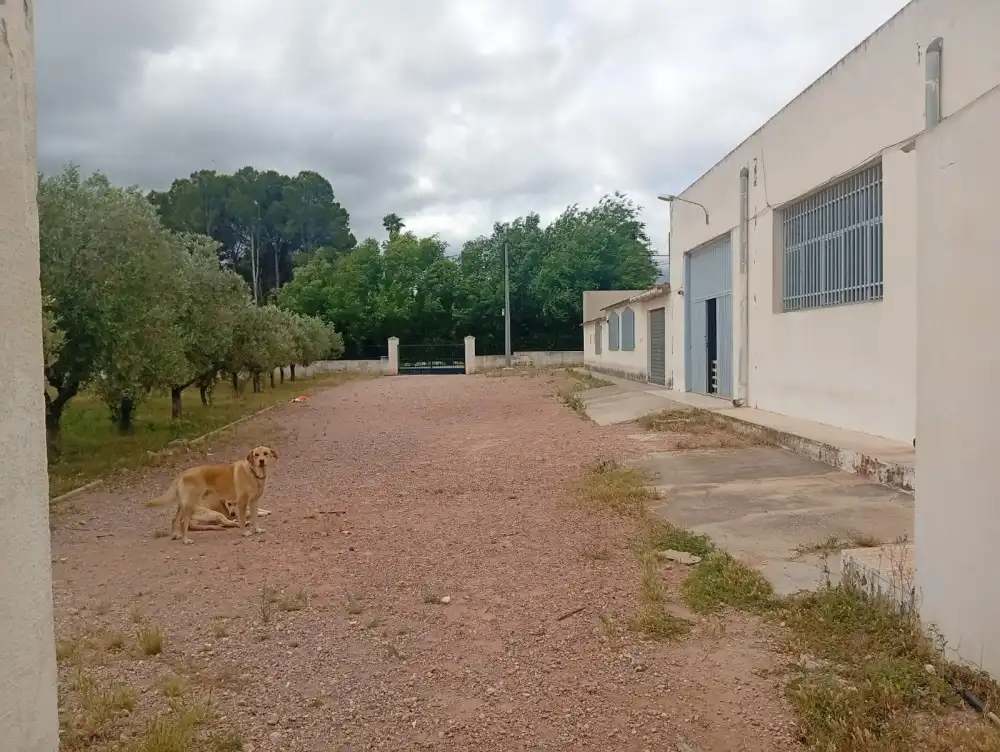 Wohnung zum Verkauf in Salinas, imagen 5