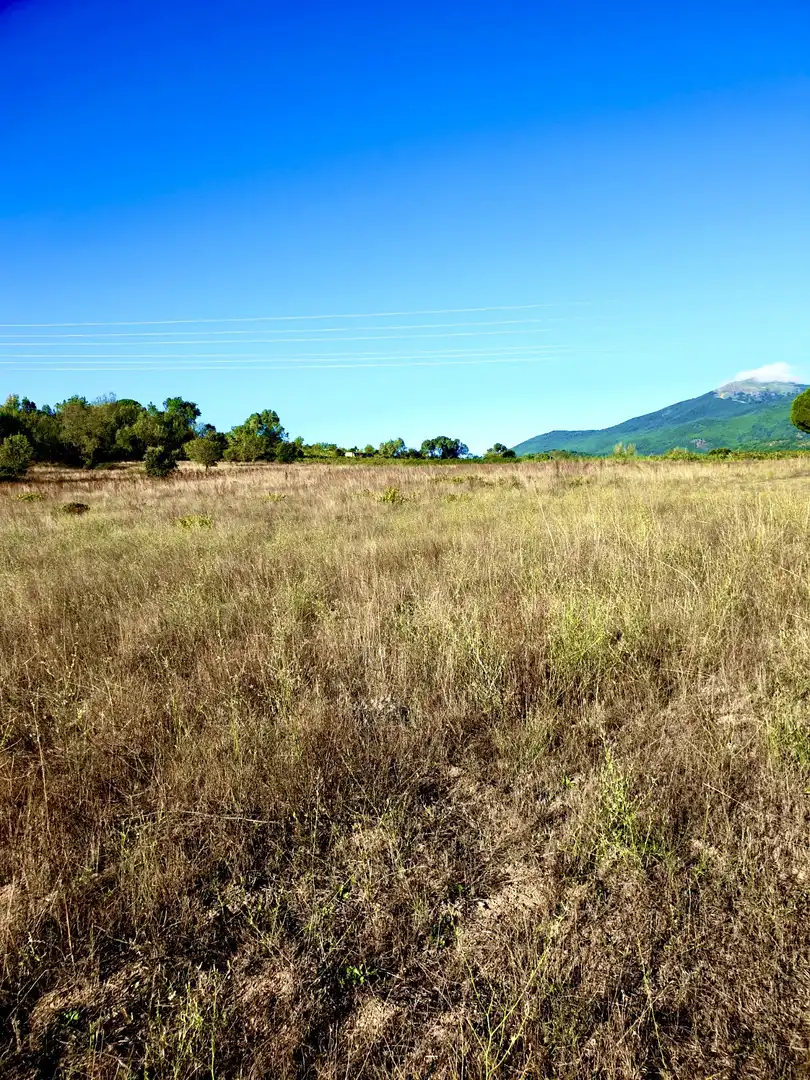Terreno en venta en Madrid