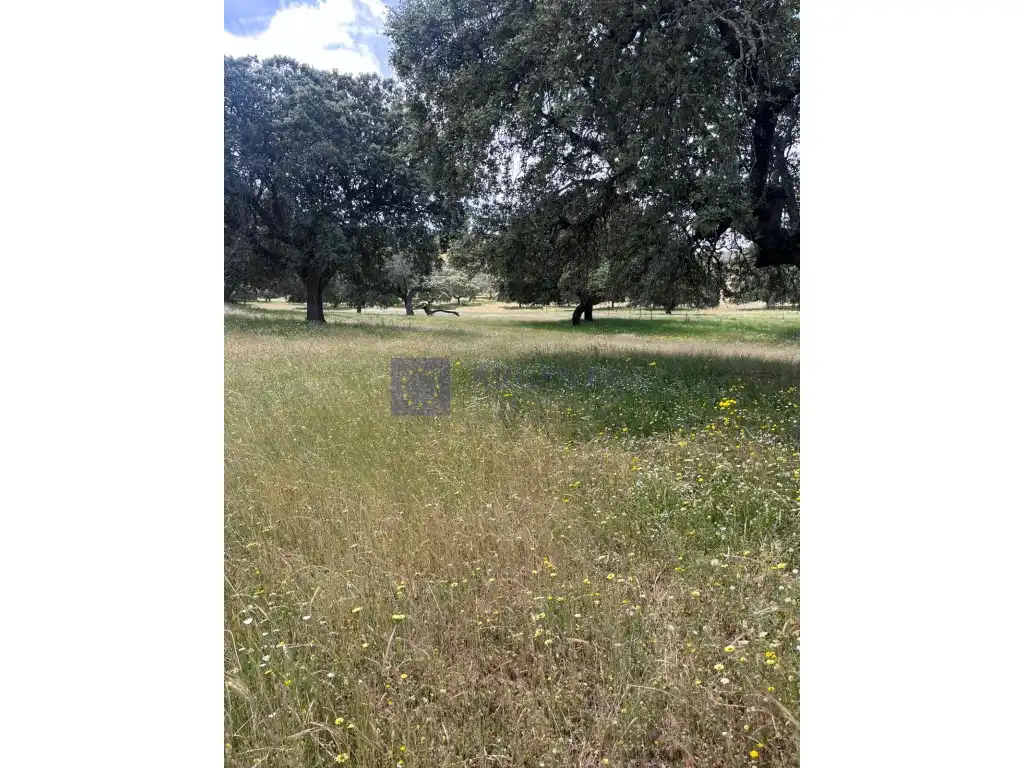 Haus zum Verkauf in Poligono 3 Paraje 38 Escorzoneras, imagen 2