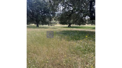 FINCA EN VENTA 80 HAS ZONA TRUJILLO, imatge 2
