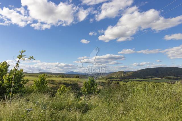 Terreno residencial en Venta en Cogolludo