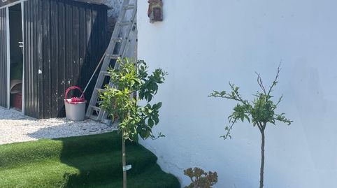 Foto 5 de Finca rústica en venta en Jumilla, Murcia