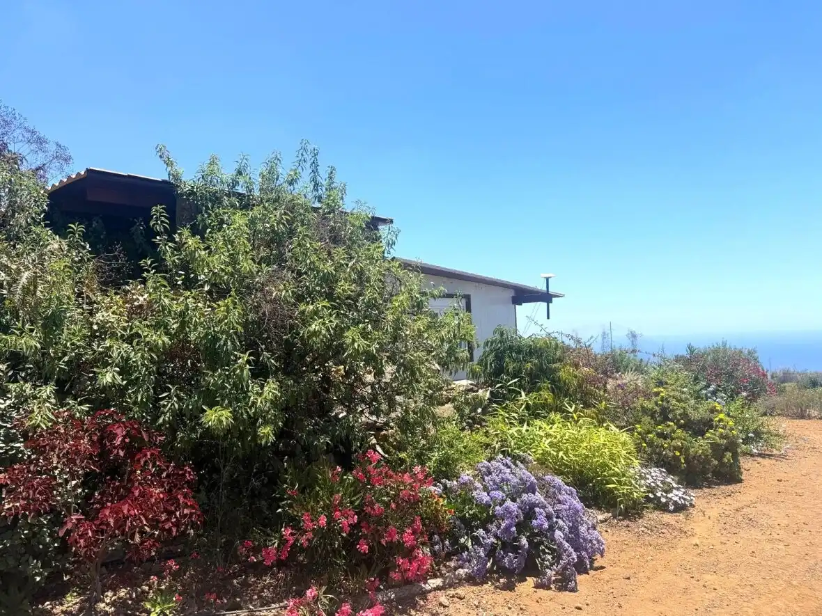 Jardín de Finca rústica en venta en Guía de Isora con Terraza