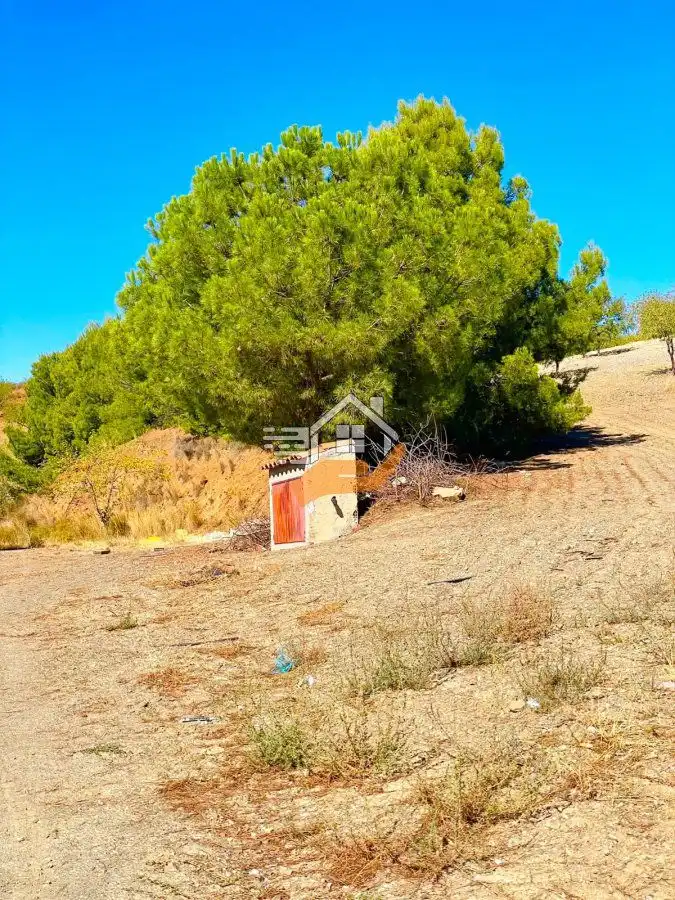 Finca rústica en venta en Lorca