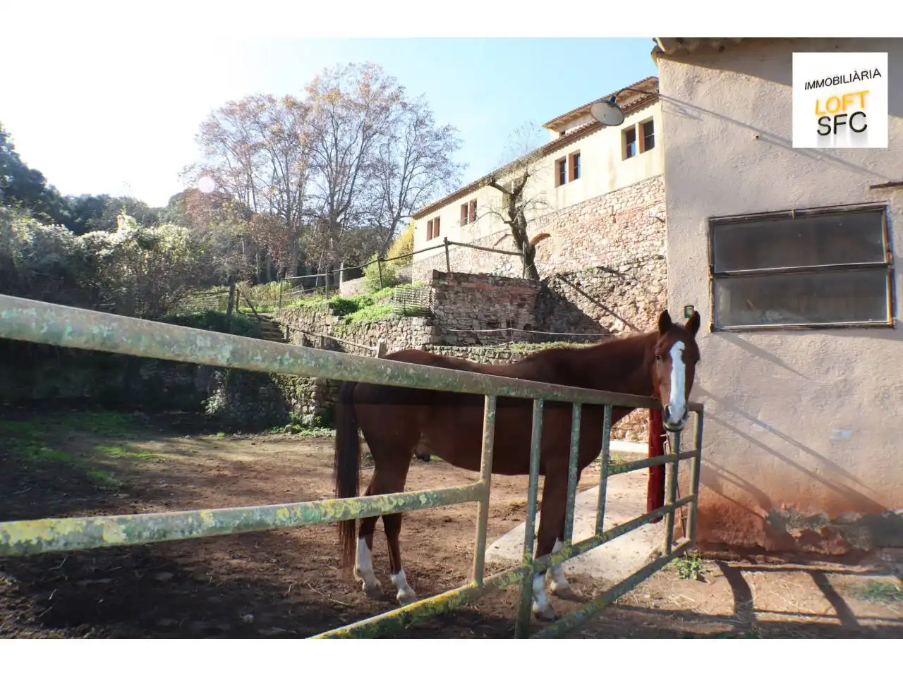 Maison rustique avec piscine à vendre à Calle EL VILLAR, imagen 43