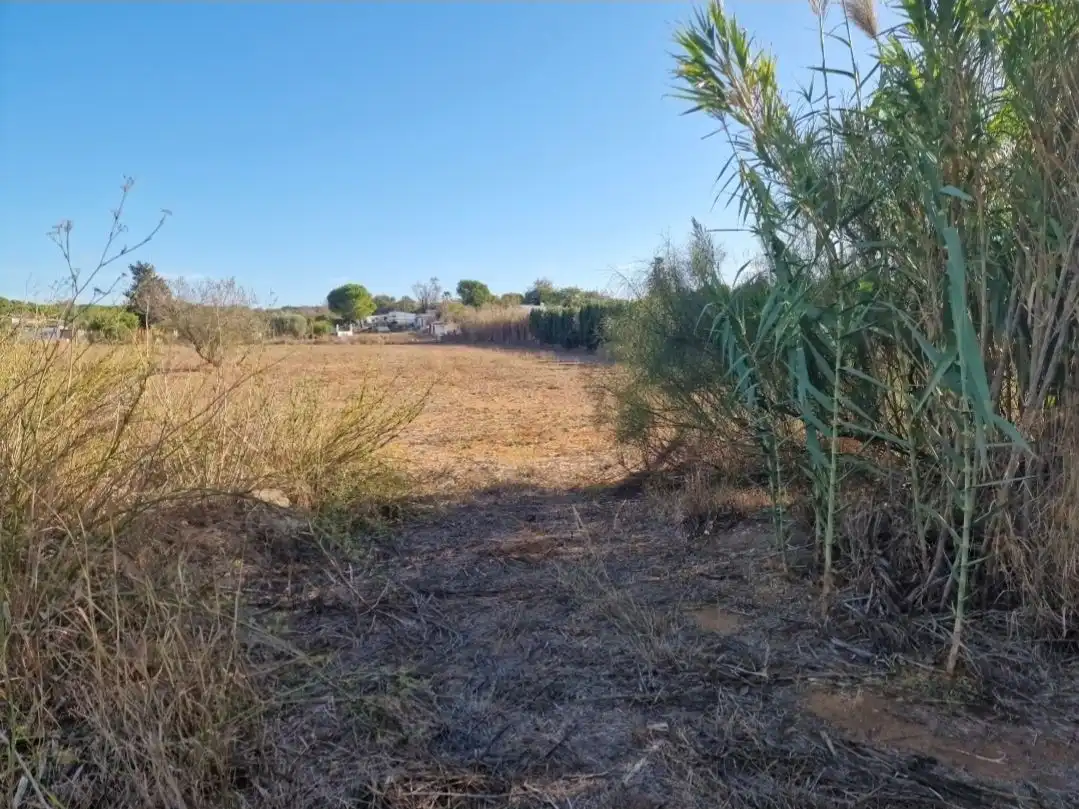 Terreni e lotti in affitto a CA-3113 0, imagen 2
