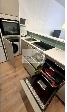 Estudio de alquiler en Triana Este