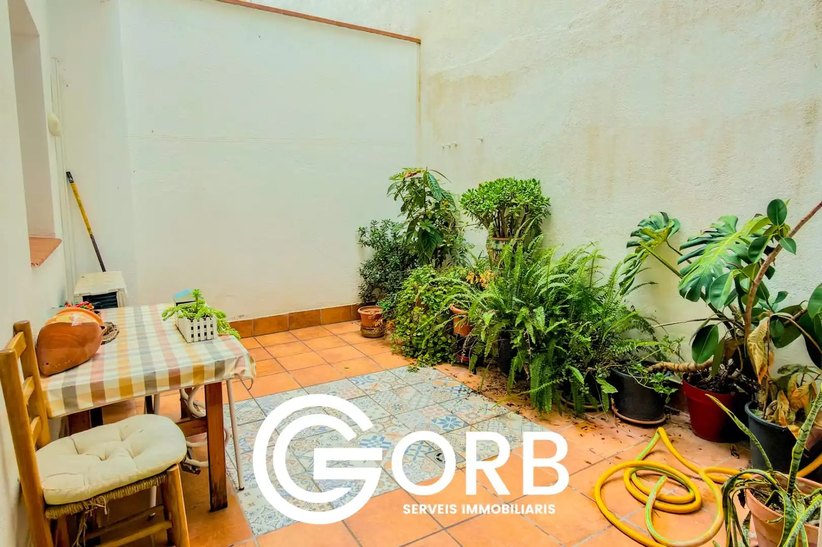 Ground floor for sale in Cirera, imagen 3