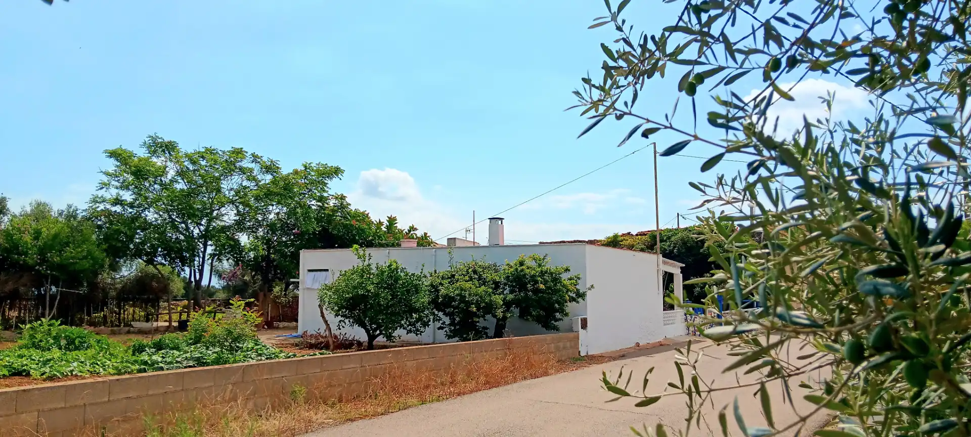Exterior view of Houses for sale in Alcalà de Xivert  with Private garden and Terrace