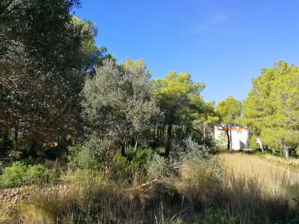 Terreny residencial en venda a Carrer Urà, 2-8, imagen 3