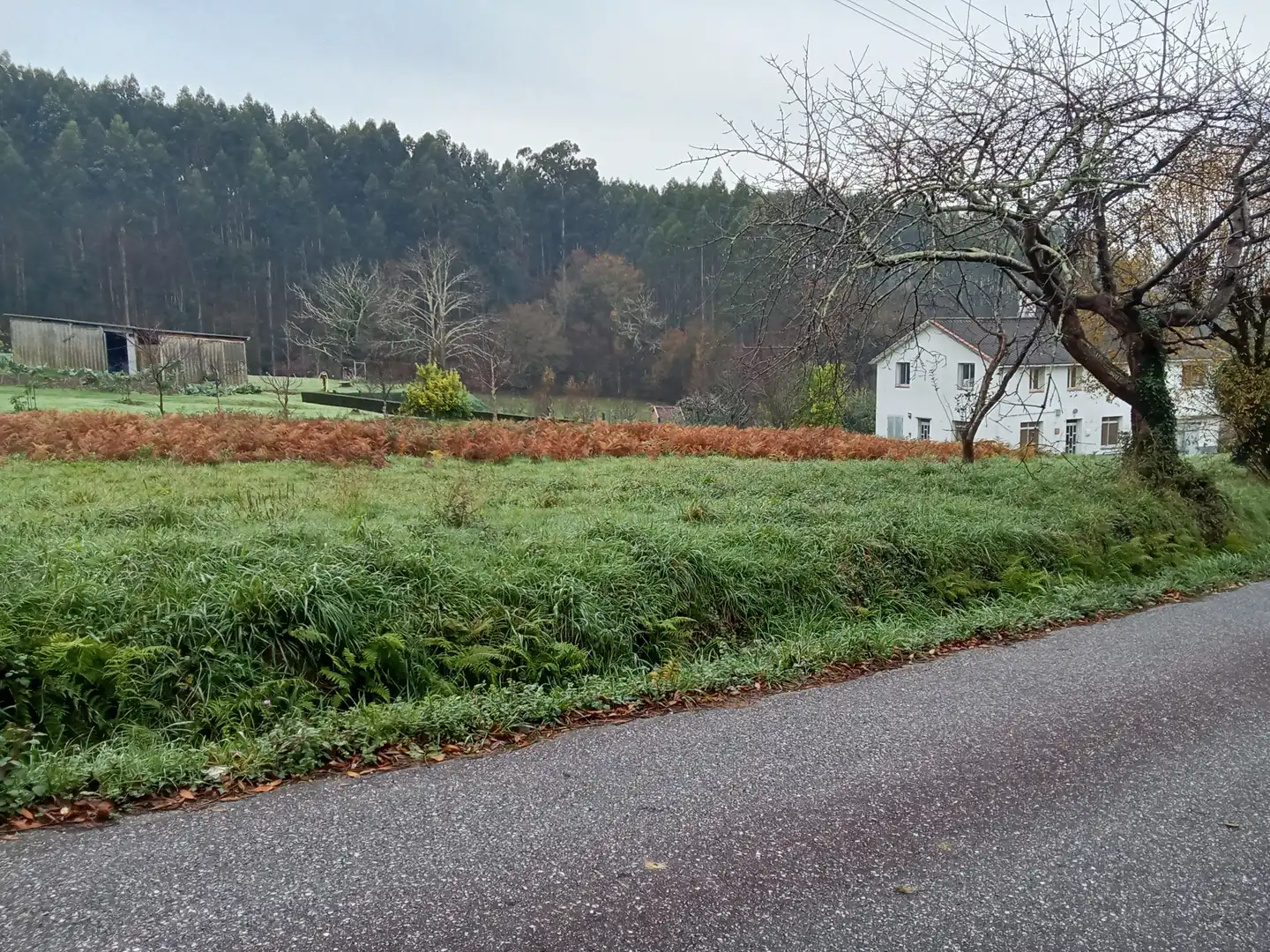 Terreni e lotti in vendita a Sedes - Pedroso - Doso
