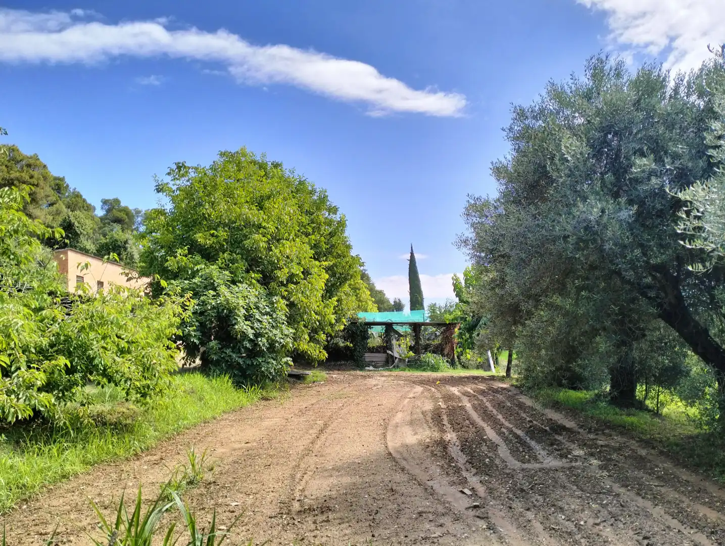 Casa o xalet en venda en Cervià de Ter amb Jardí privat, Terrassa i Balcó