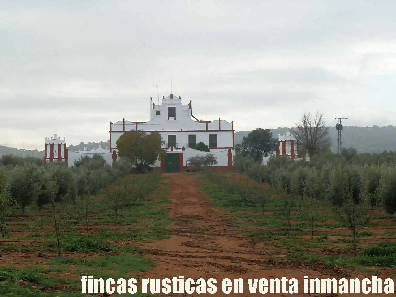 Terreno rústico en venta en Moral de Calatrava, imagen 2