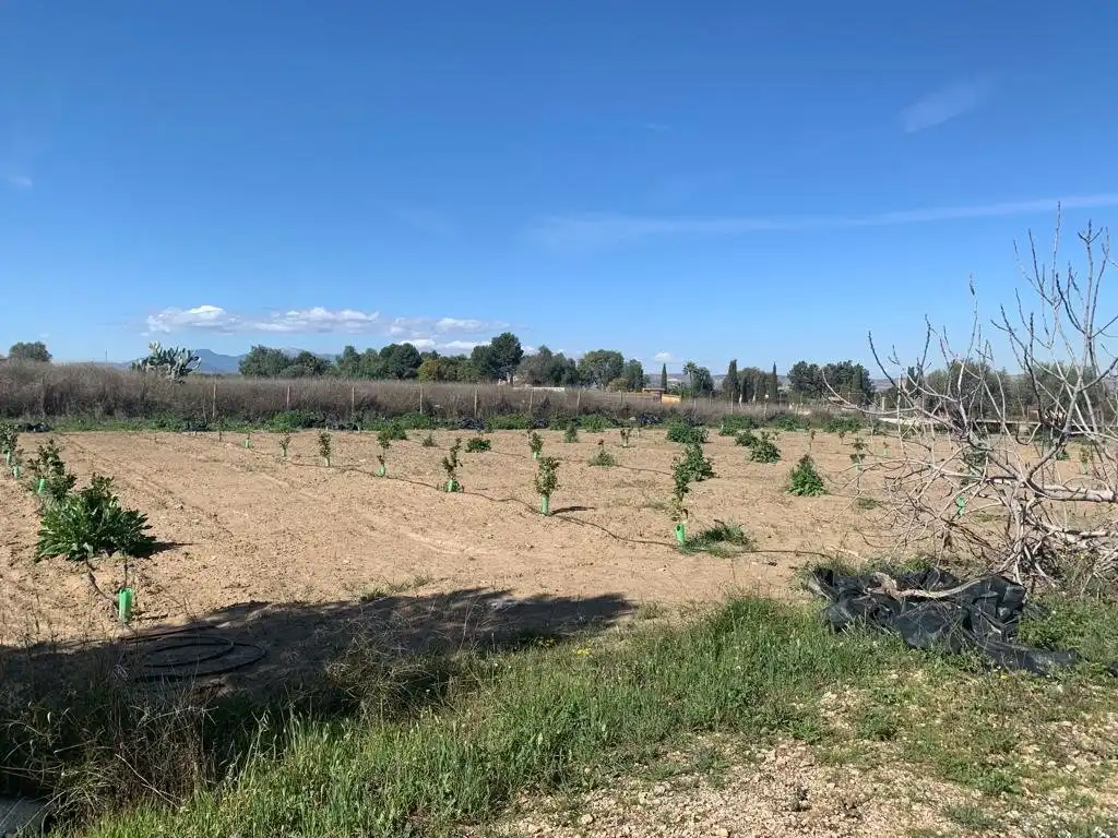 Casa o xalet en venda en Murcia amb Aire condicionat, Calefacció i Terrassa