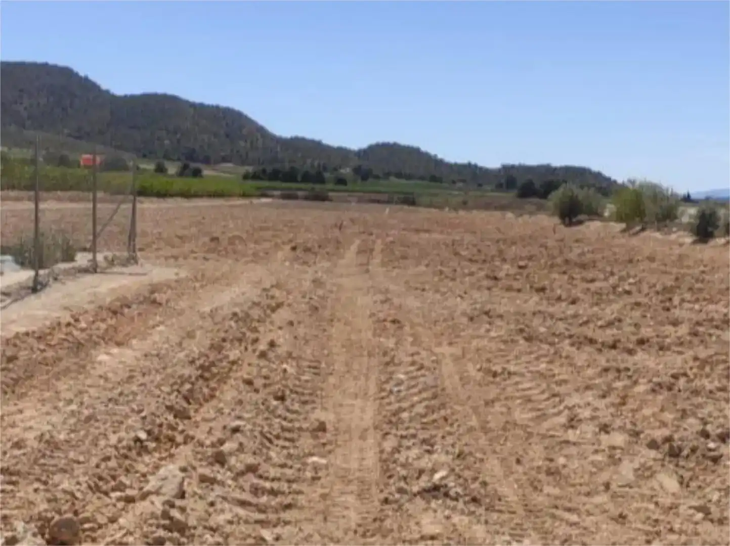 Finca rústica en venda en Blanca