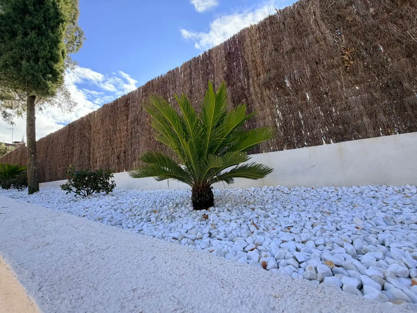 Casa o xalet en venda a Avenida de la Alcazaba, Cerro Alarcón