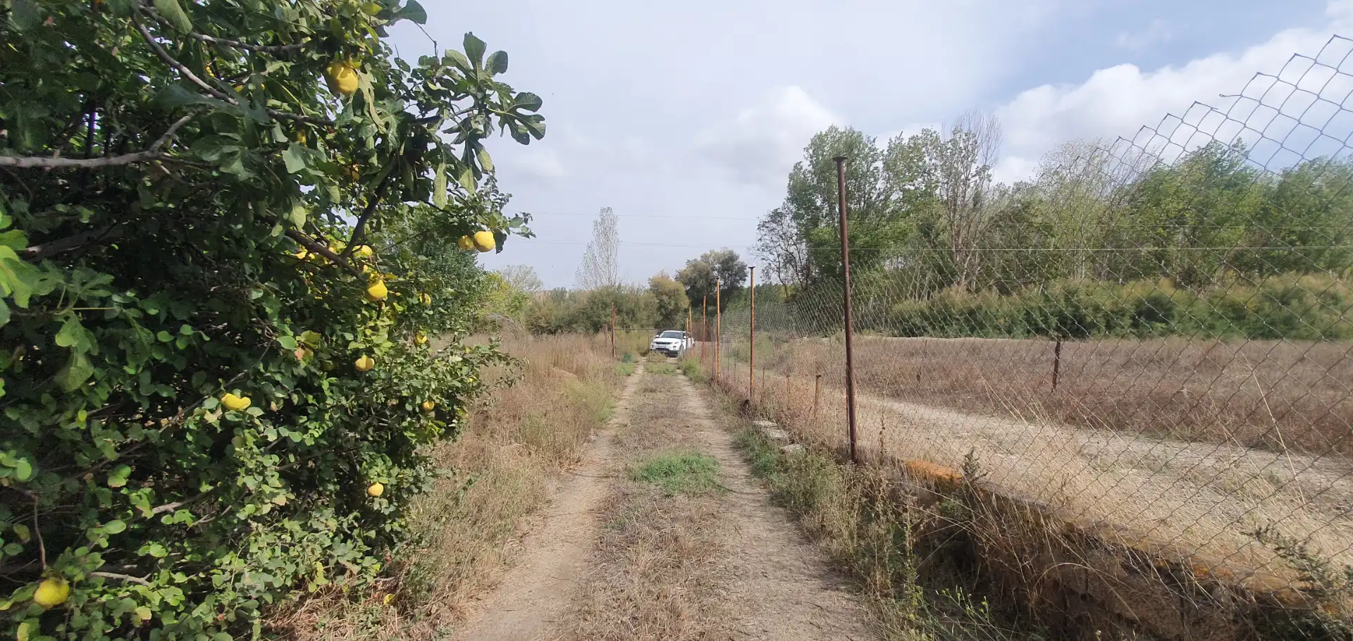 Rustikales Grundstück zum Verkauf in Carretera Benalúa 20, imagen 2