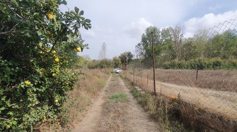 FINCA CON NAVE DE APEROS Y BALSA A 1KM. DE GUADIX, immagine 2